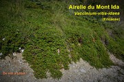 vue d'ensemble