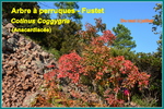 en automne