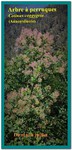 vue de la floraison
